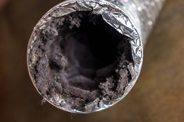 Best Air Quality Test  in Ridge Manor, FL